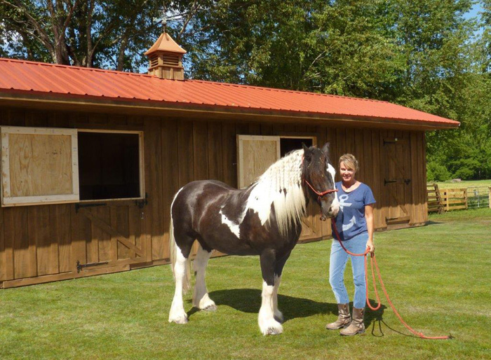  sale Nashville Tennessee | Small Horse Barn Manufacturer in Dickson