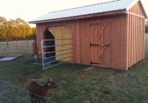 Horse Run Ins and Sheds | Portable Horse Barn Manufacturer Hilltop ...