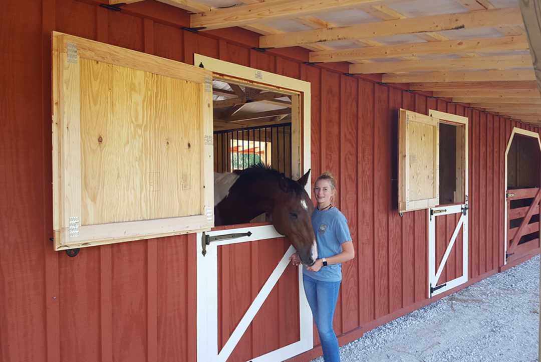 Horse Barns and Stalls for sale Nashville Tennessee | Small Horse Barn ...