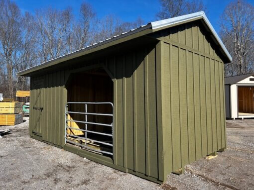 10x22 Run-In Shed