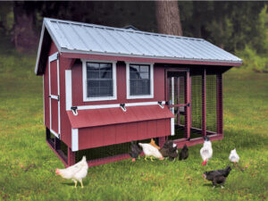 chicken coops