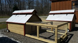 chicken tractors