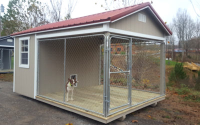 Introducing Our New Dog Kennels