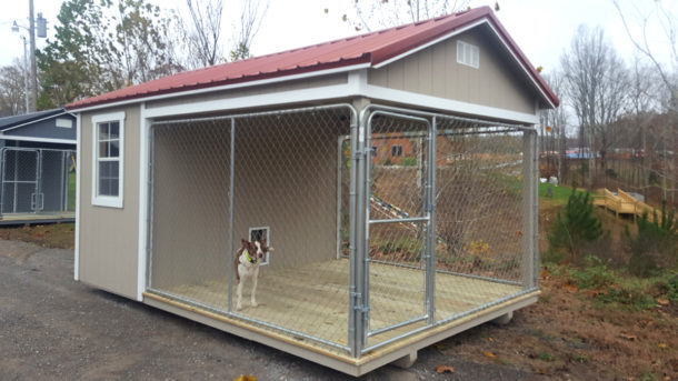 Introducing Our New Dog Kennels