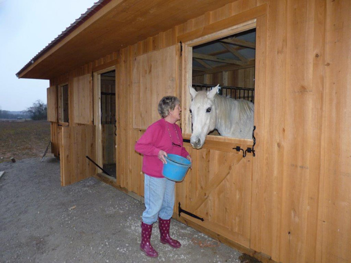 Horse stalls on sale for sale